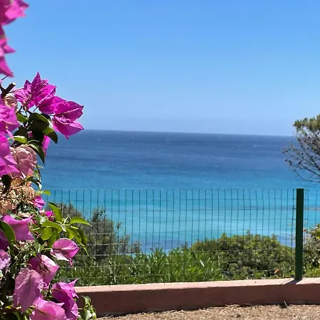 Apartman Casa Pinus