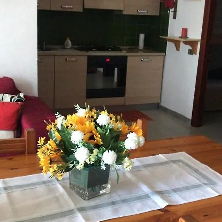 Apartman Casa Pinus *