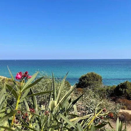 Casa Pinus Apartman